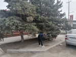 Субботник - Пугачёвский район