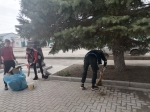 Субботник - Пугачёвский район