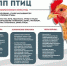 ГРИПП ПТИЦ   - Пугачёвский район