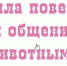 Правила безопасного поведения с животными - Пугачёвский район