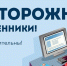 За истекшие сутки жители Саратовской области перевели мошенникам более 12 миллионов рублей.. - Пугачёвский район