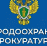 Природоохранная прокуратура разъясняет. - Пугачёвский район