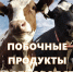 «О побочных продуктах животноводства». - Пугачёвский район