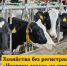 Сельхозтоваропроизводители, которые до 1 марта 2026 года не зарегистрируются в системе «Честный знак», не смогут легально приобрести лекарства для животных.. - Пугачёвский район