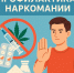 Употребление наркотических средств и психотропных веществ оказывает негативное воздействие. - Пугачёвский район