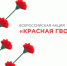 Акция «Красная гвоздика». - Пугачёвский район