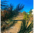 Прогноз погоды. - Пугачёвский район