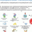 Саратовцам напомнили о мерах профилактики ГЛПС. - Пугачёвский район