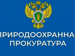 Саратовская межрайонная природоохранная прокуратура разъясняет.