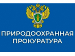 Саратовская межрайонная природоохранная прокуратура разъясняет законодательство об отходах.