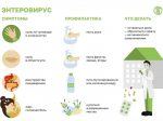 Профилактика энтеровирусной инфекции.
