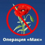 «Мак – 2026».