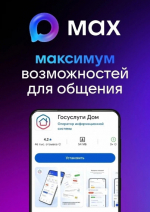 В мессенджере MAX действует мини-приложение «Госуслуги Дом».