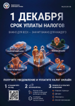 1 декабря  - срок уплаты налогов, получите уведомление и уплатите нало онлайн